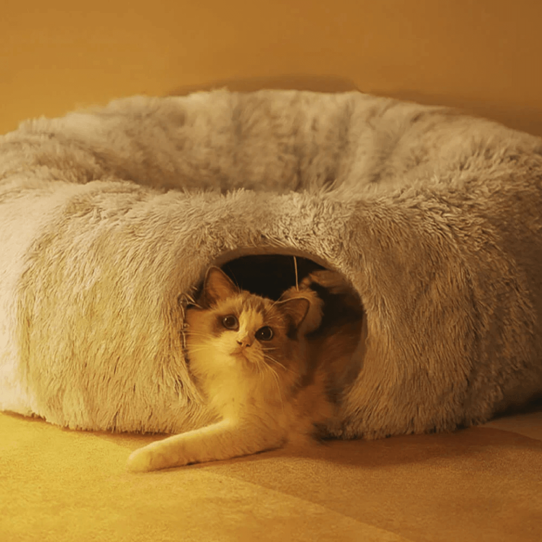 Toca Túnel de Pelúcia Para Gatos